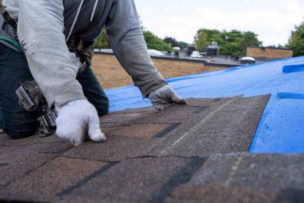 Quick and Trustworthy Emergency Roof Repair Services in West Wyoming, PA